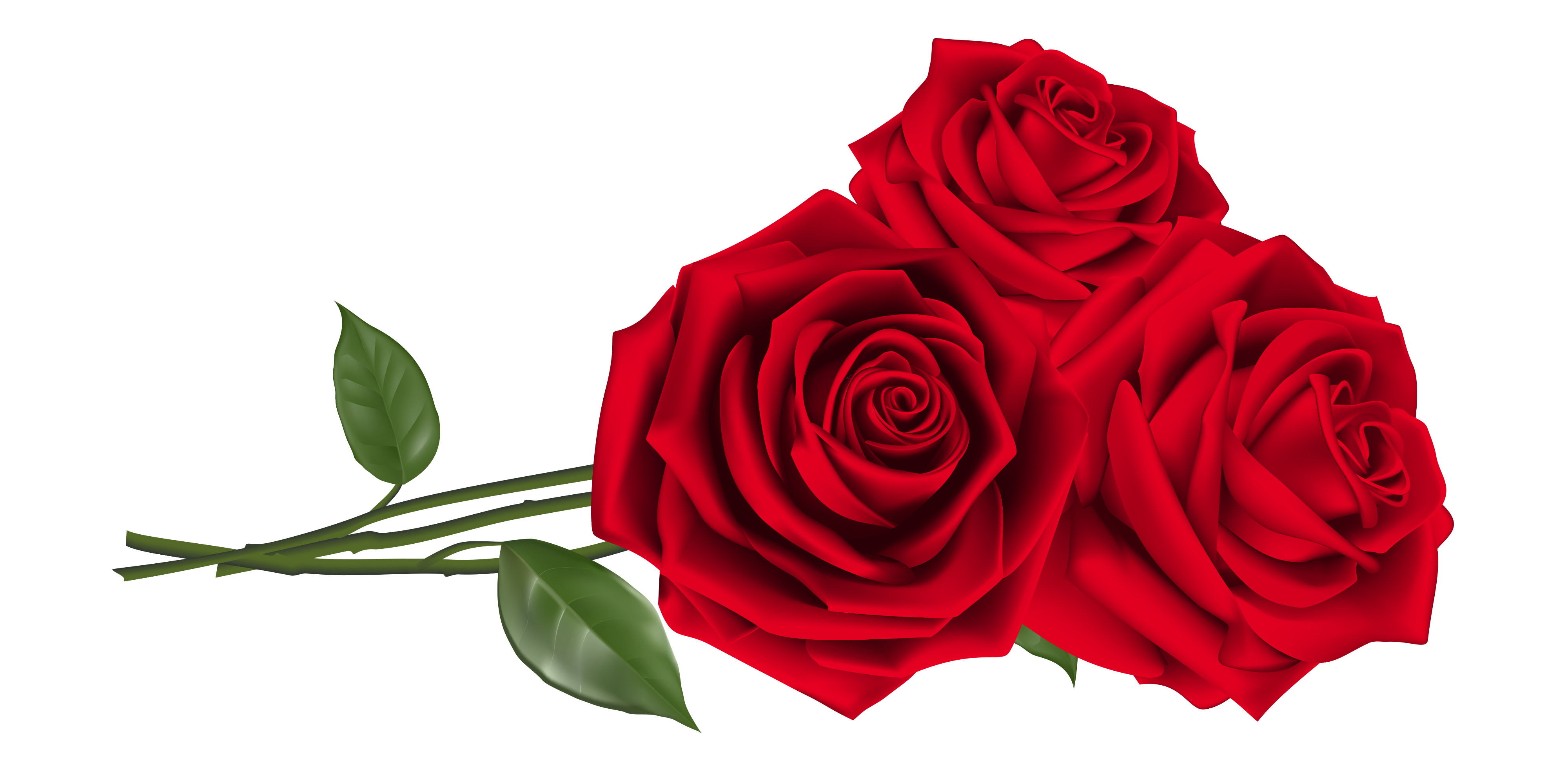 Название тендера